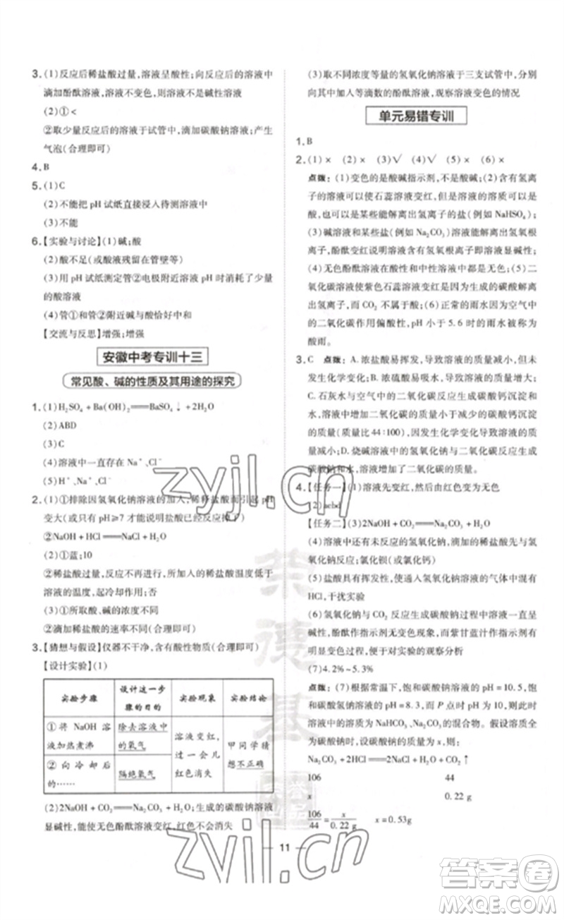 安徽教育出版社2023點(diǎn)撥訓(xùn)練九年級(jí)化學(xué)下冊(cè)人教版安徽專版參考答案