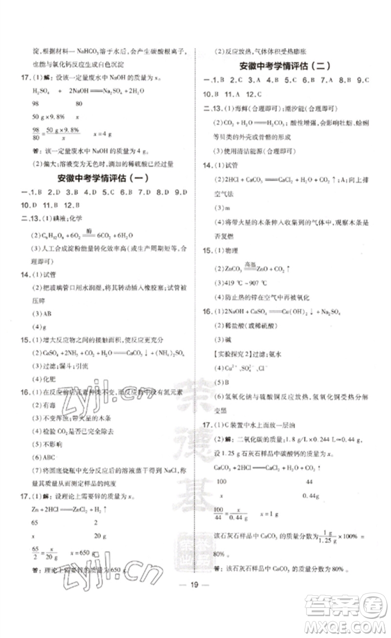 安徽教育出版社2023點(diǎn)撥訓(xùn)練九年級(jí)化學(xué)下冊(cè)人教版安徽專版參考答案