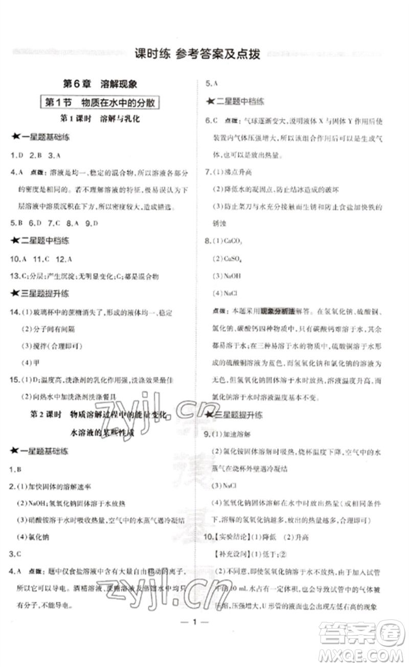 山西教育出版社2023點撥訓(xùn)練九年級化學(xué)下冊滬教版參考答案