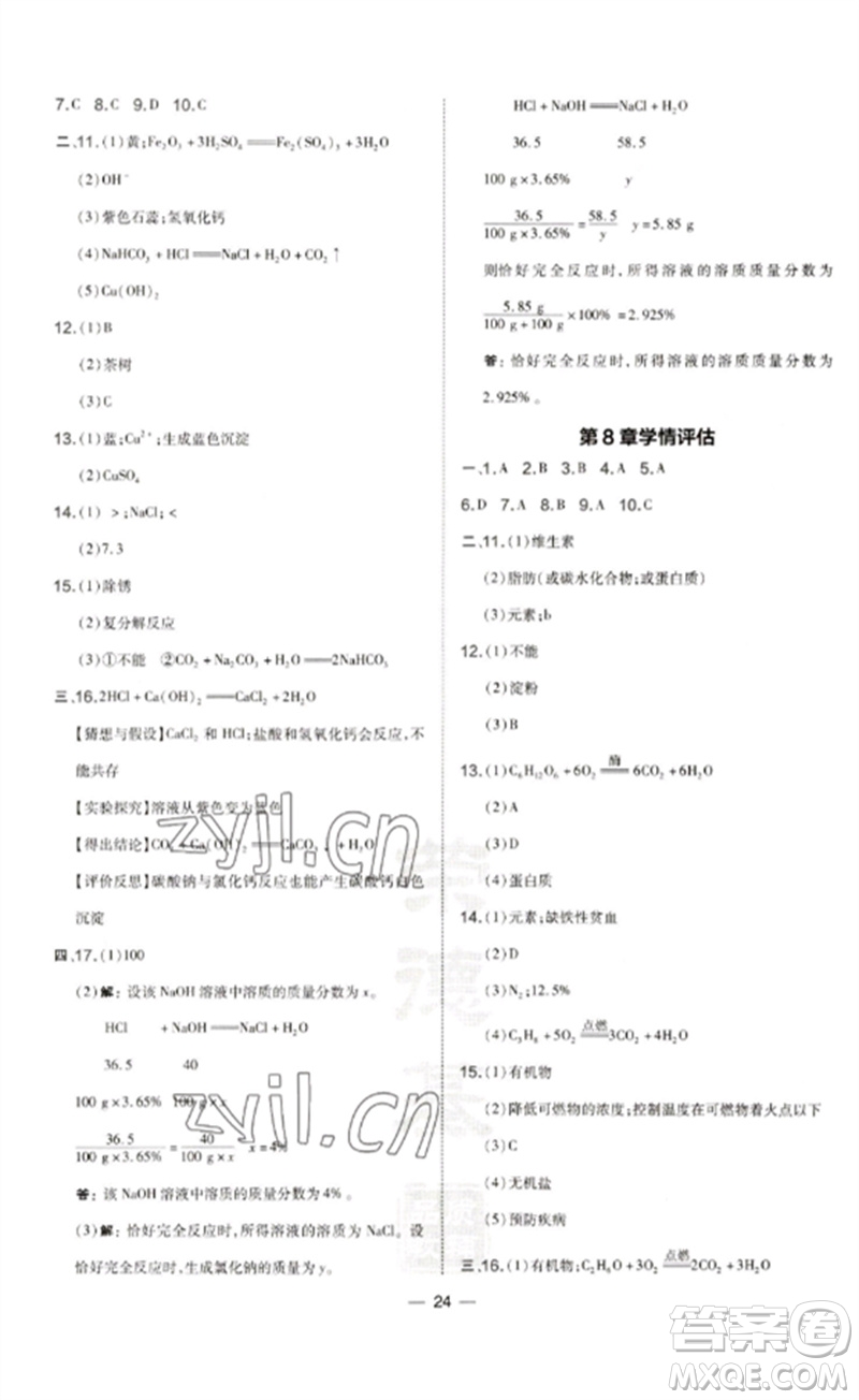 山西教育出版社2023點撥訓(xùn)練九年級化學(xué)下冊滬教版參考答案