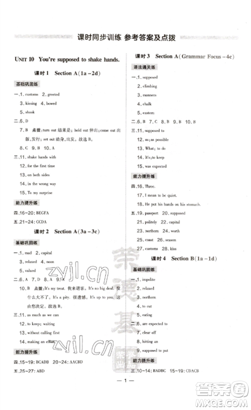 安徽教育出版社2023點撥訓練九年級英語下冊人教版安徽專版參考答案