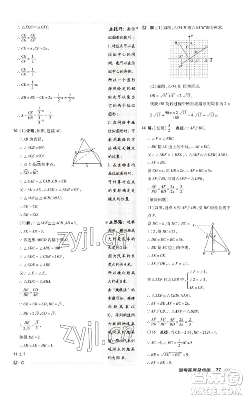 吉林教育出版社2023點(diǎn)撥訓(xùn)練九年級數(shù)學(xué)下冊人教版參考答案