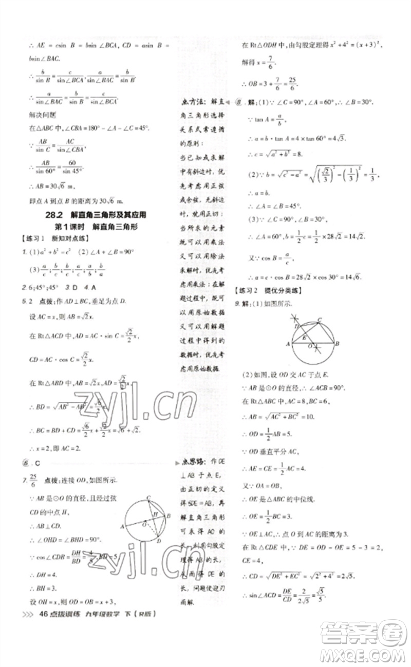 吉林教育出版社2023點(diǎn)撥訓(xùn)練九年級數(shù)學(xué)下冊人教版參考答案