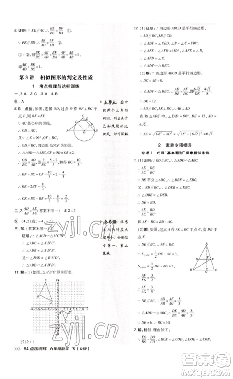 吉林教育出版社2023點(diǎn)撥訓(xùn)練九年級數(shù)學(xué)下冊人教版參考答案