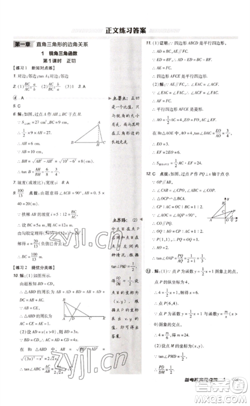 安徽教育出版社2023點(diǎn)撥訓(xùn)練九年級(jí)數(shù)學(xué)下冊(cè)北師大版參考答案