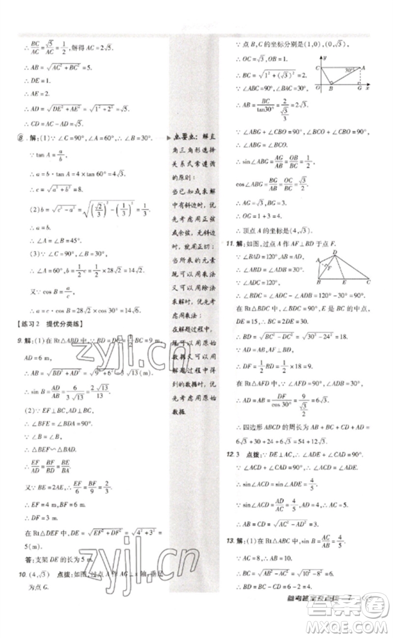 安徽教育出版社2023點(diǎn)撥訓(xùn)練九年級(jí)數(shù)學(xué)下冊(cè)北師大版參考答案