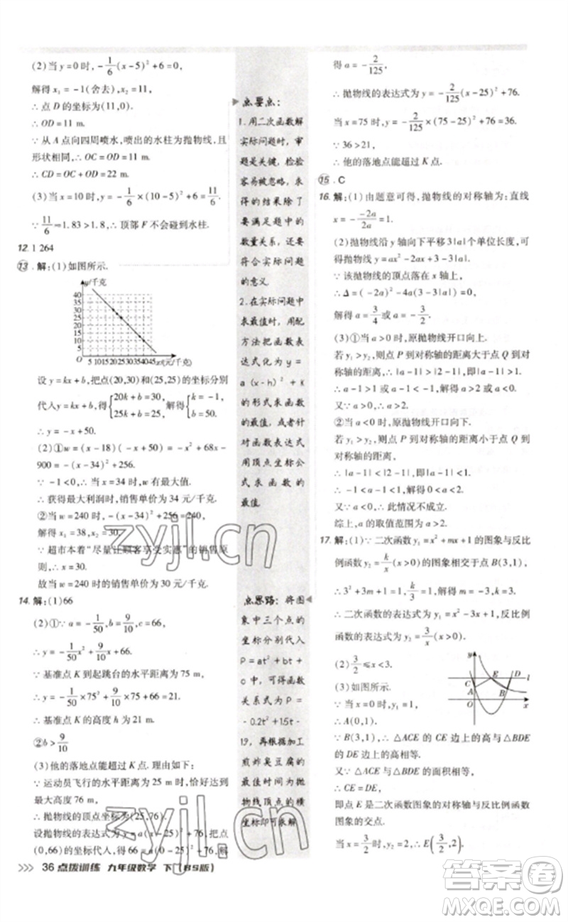 安徽教育出版社2023點(diǎn)撥訓(xùn)練九年級(jí)數(shù)學(xué)下冊(cè)北師大版參考答案