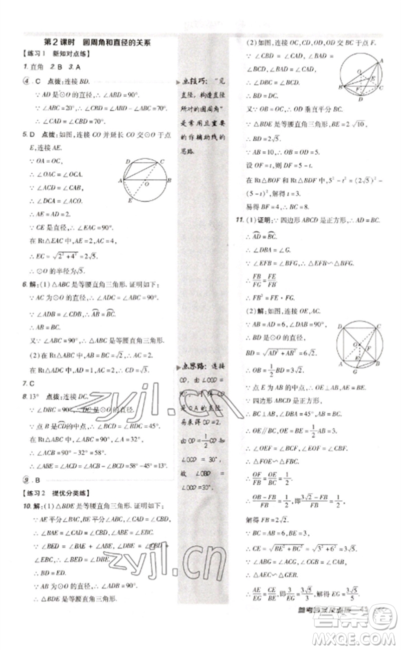 安徽教育出版社2023點(diǎn)撥訓(xùn)練九年級(jí)數(shù)學(xué)下冊(cè)北師大版參考答案