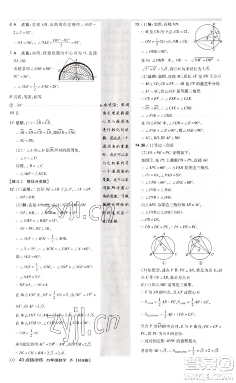 安徽教育出版社2023點(diǎn)撥訓(xùn)練九年級(jí)數(shù)學(xué)下冊(cè)北師大版參考答案