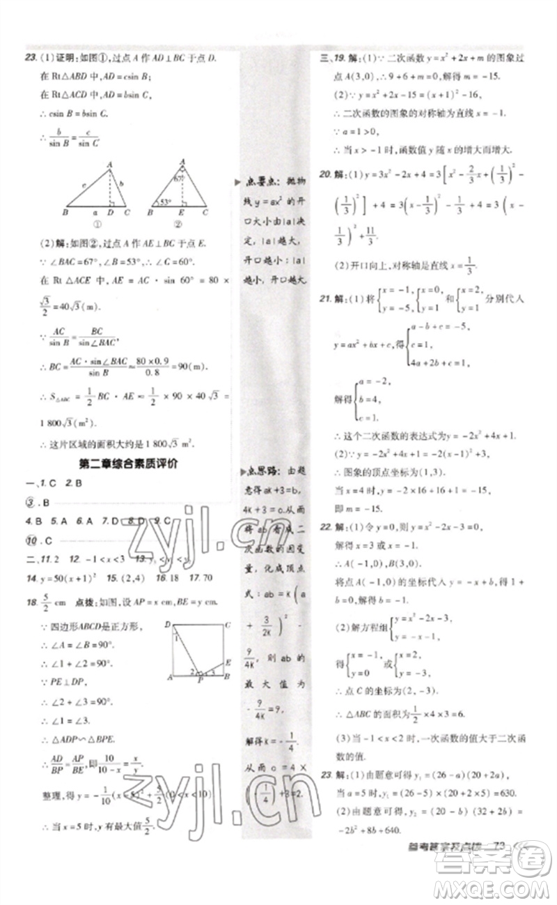 安徽教育出版社2023點(diǎn)撥訓(xùn)練九年級(jí)數(shù)學(xué)下冊(cè)北師大版參考答案