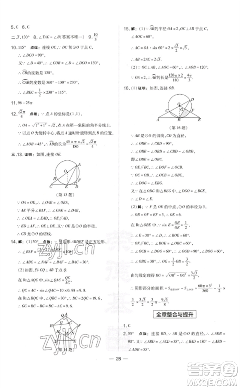 山西教育出版社2023點撥訓(xùn)練九年級數(shù)學(xué)下冊湘教版參考答案