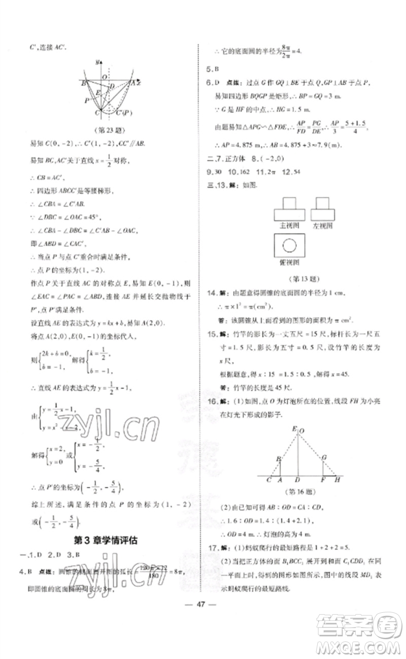 山西教育出版社2023點撥訓(xùn)練九年級數(shù)學(xué)下冊湘教版參考答案