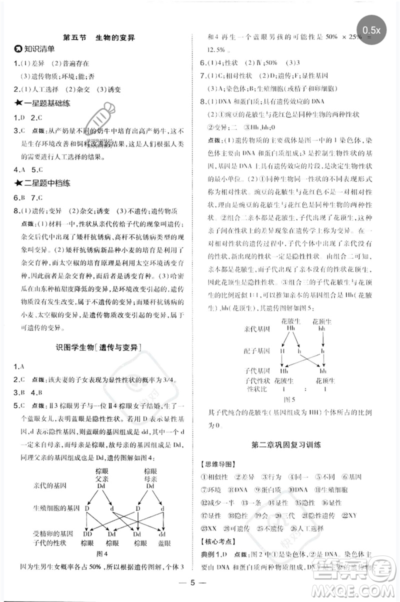 吉林教育出版社2023點(diǎn)撥訓(xùn)練八年級生物下冊人教版參考答案