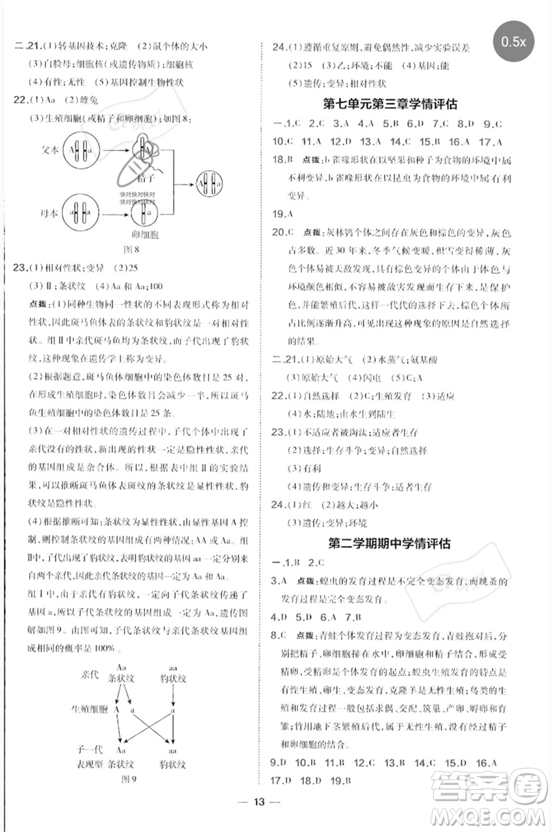 吉林教育出版社2023點(diǎn)撥訓(xùn)練八年級生物下冊人教版參考答案