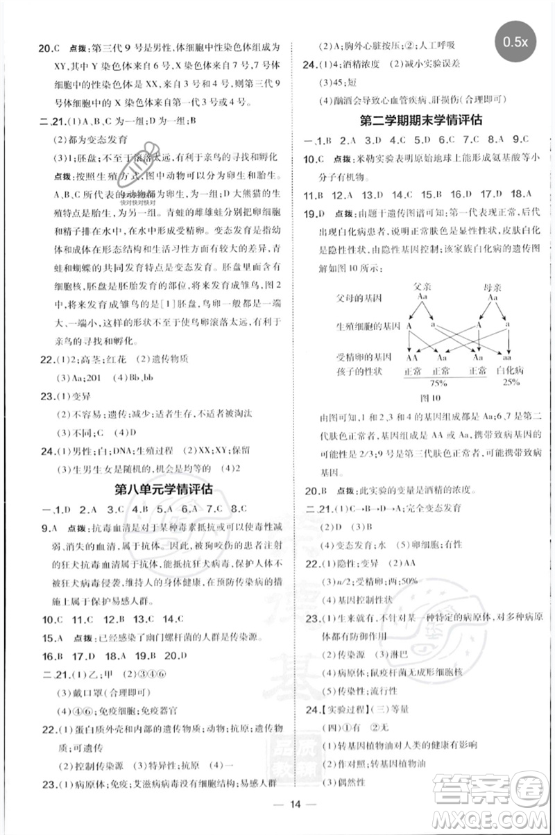 吉林教育出版社2023點(diǎn)撥訓(xùn)練八年級生物下冊人教版參考答案