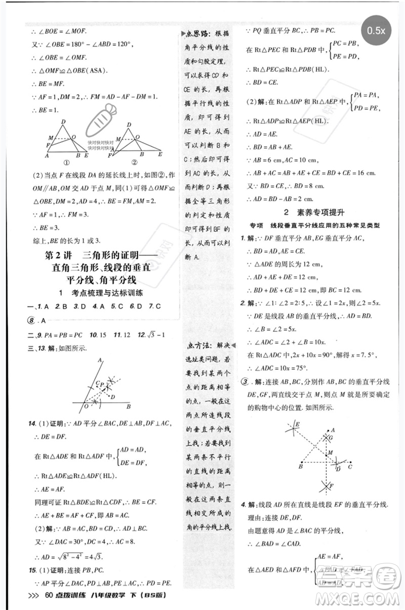 安徽教育出版社2023點撥訓(xùn)練八年級數(shù)學(xué)下冊北師大版參考答案