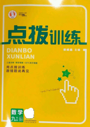 山西教育出版社2023點撥訓(xùn)練九年級數(shù)學(xué)下冊湘教版參考答案