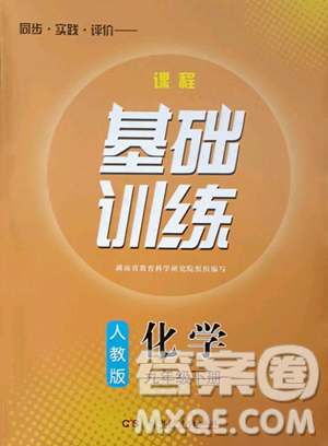 湖南少年兒童出版社2023同步實(shí)踐評價(jià)課程基礎(chǔ)訓(xùn)練九年級下冊化學(xué)人教版參考答案