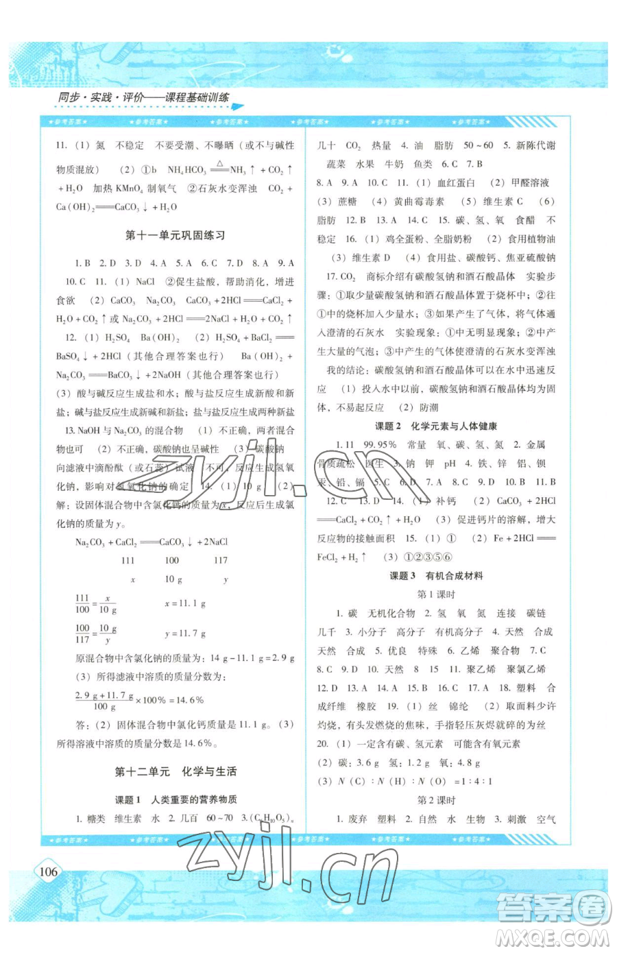 湖南少年兒童出版社2023同步實(shí)踐評價(jià)課程基礎(chǔ)訓(xùn)練九年級下冊化學(xué)人教版參考答案