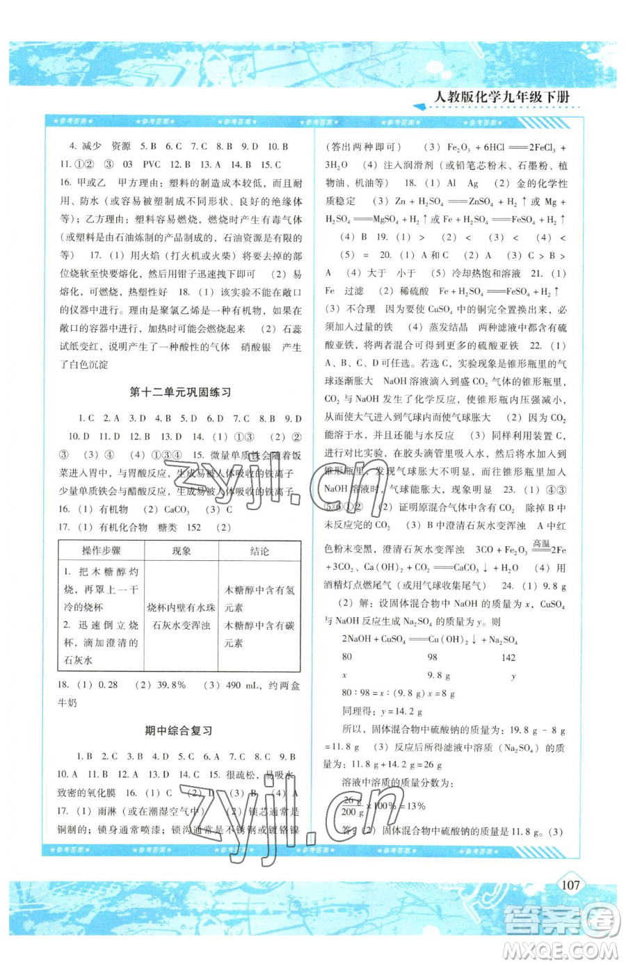 湖南少年兒童出版社2023同步實(shí)踐評價(jià)課程基礎(chǔ)訓(xùn)練九年級下冊化學(xué)人教版參考答案