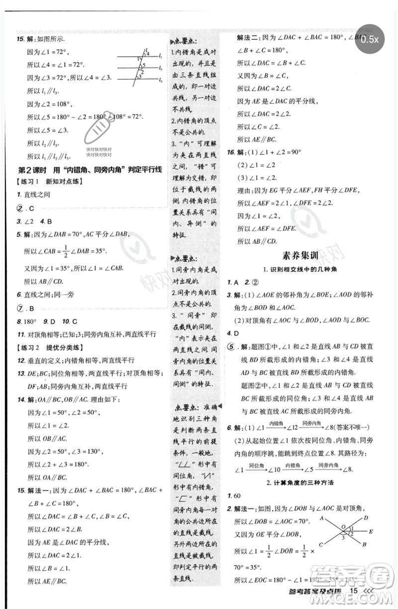 安徽教育出版社2023點(diǎn)撥訓(xùn)練七年級數(shù)學(xué)下冊北師大版參考答案