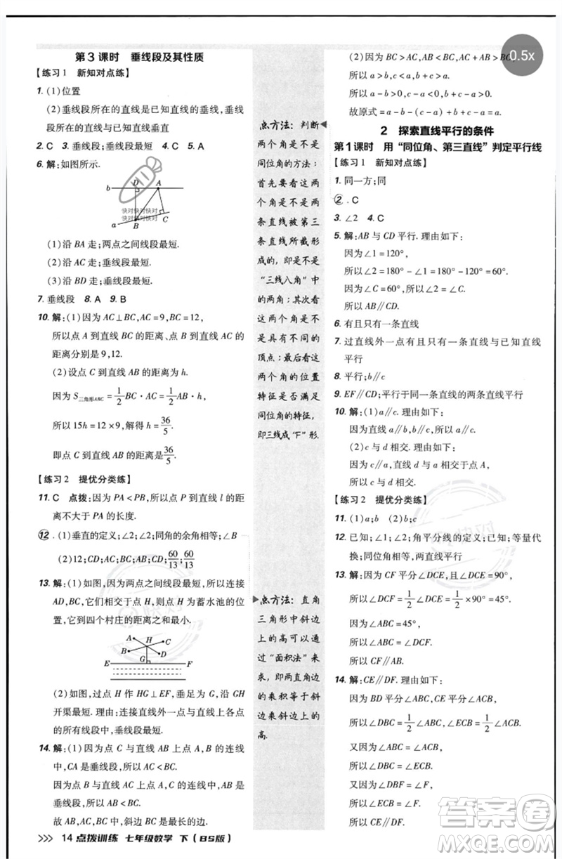 安徽教育出版社2023點(diǎn)撥訓(xùn)練七年級數(shù)學(xué)下冊北師大版參考答案