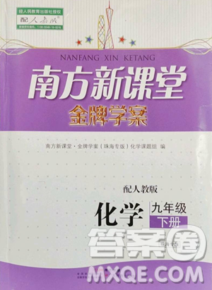 廣東教育出版社2023南方新課堂金牌學(xué)案九年級下冊化學(xué)人教版珠海專版參考答案