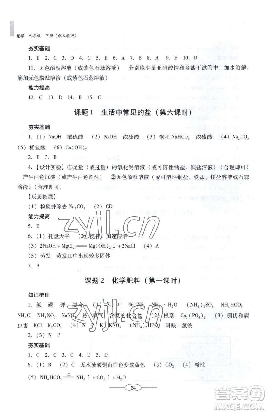 廣東教育出版社2023南方新課堂金牌學(xué)案九年級下冊化學(xué)人教版珠海專版參考答案