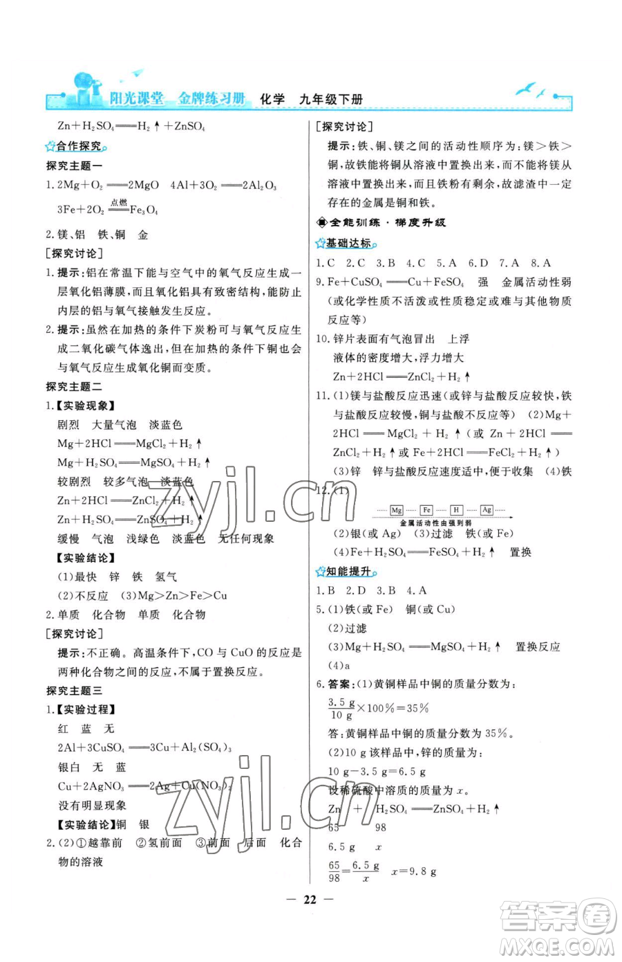 人民教育出版社2023陽光課堂金牌練習(xí)冊九年級下冊化學(xué)人教版參考答案