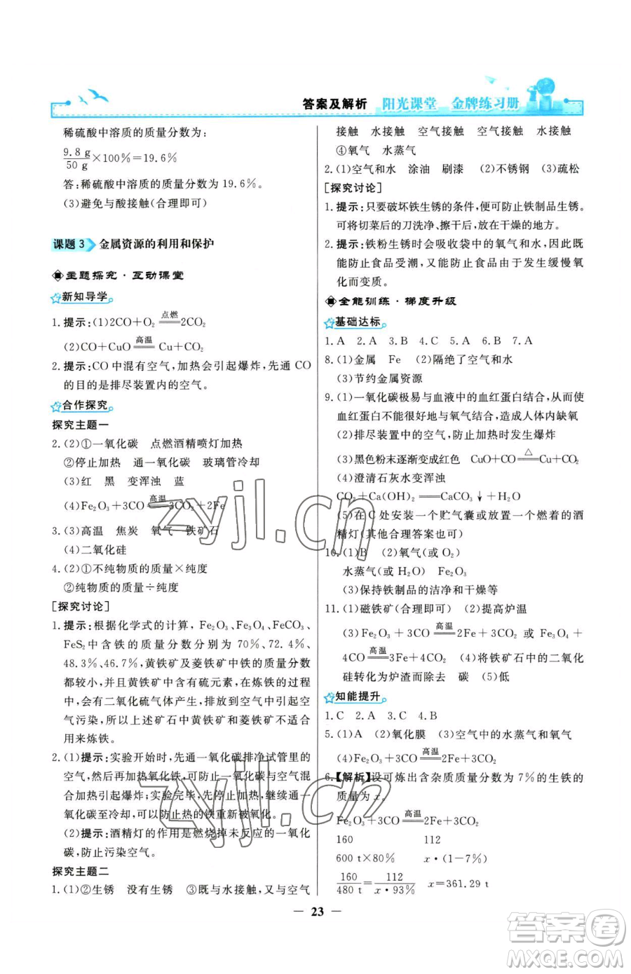 人民教育出版社2023陽光課堂金牌練習(xí)冊九年級下冊化學(xué)人教版參考答案