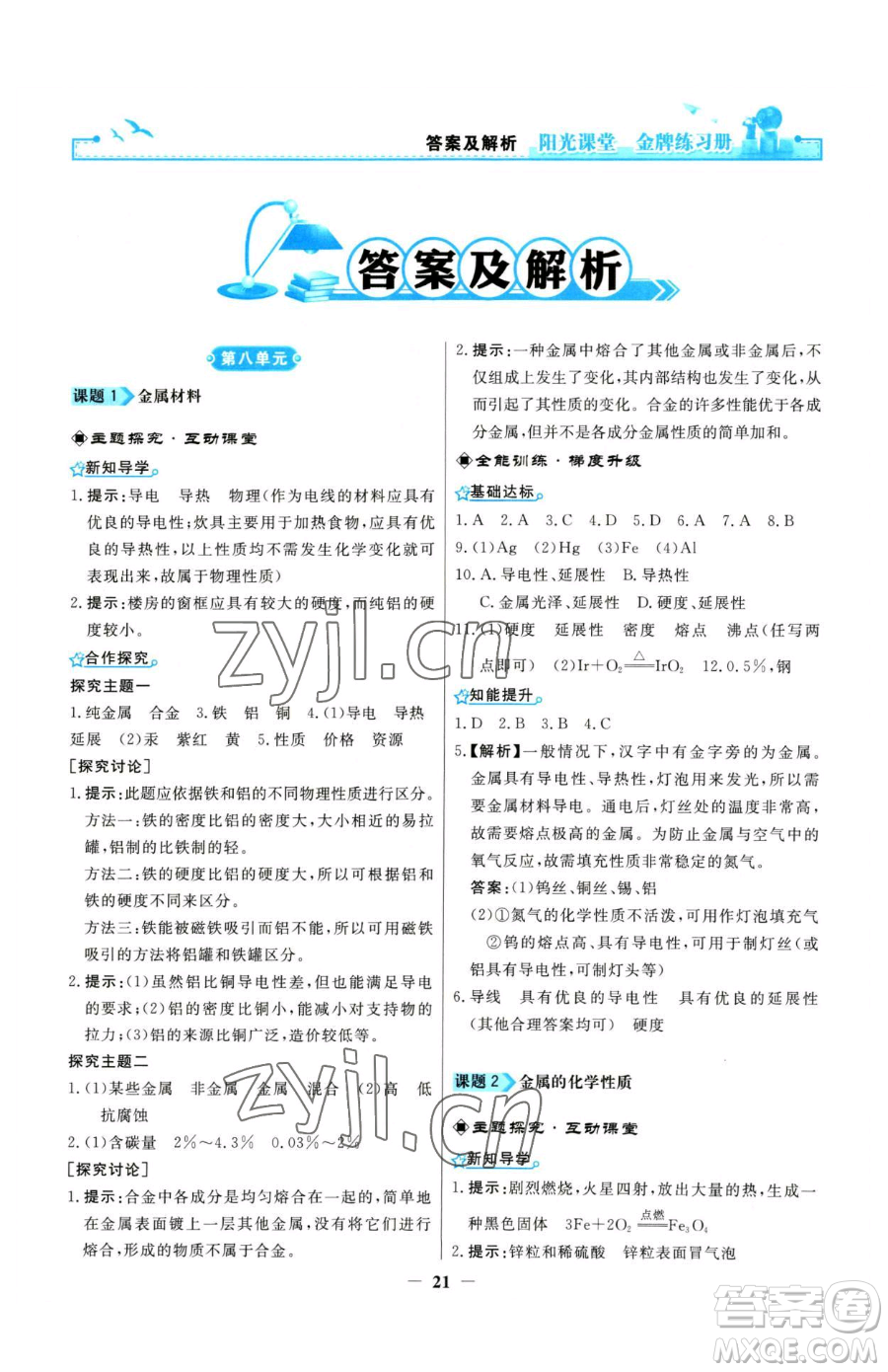 人民教育出版社2023陽光課堂金牌練習(xí)冊九年級下冊化學(xué)人教版參考答案