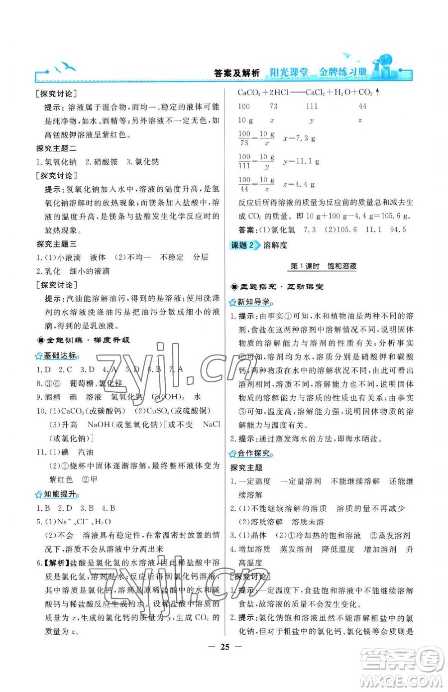 人民教育出版社2023陽光課堂金牌練習(xí)冊九年級下冊化學(xué)人教版參考答案