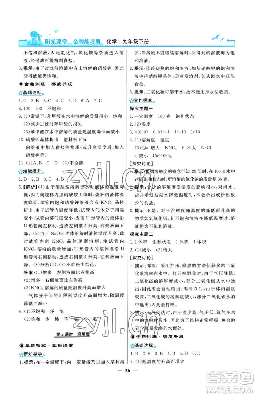 人民教育出版社2023陽光課堂金牌練習(xí)冊九年級下冊化學(xué)人教版參考答案