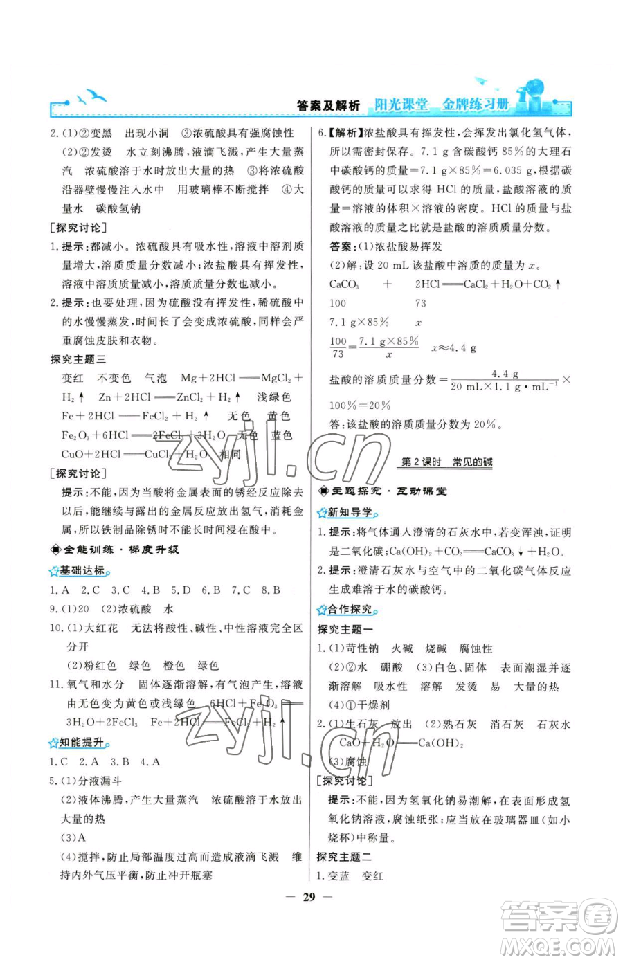 人民教育出版社2023陽光課堂金牌練習(xí)冊九年級下冊化學(xué)人教版參考答案