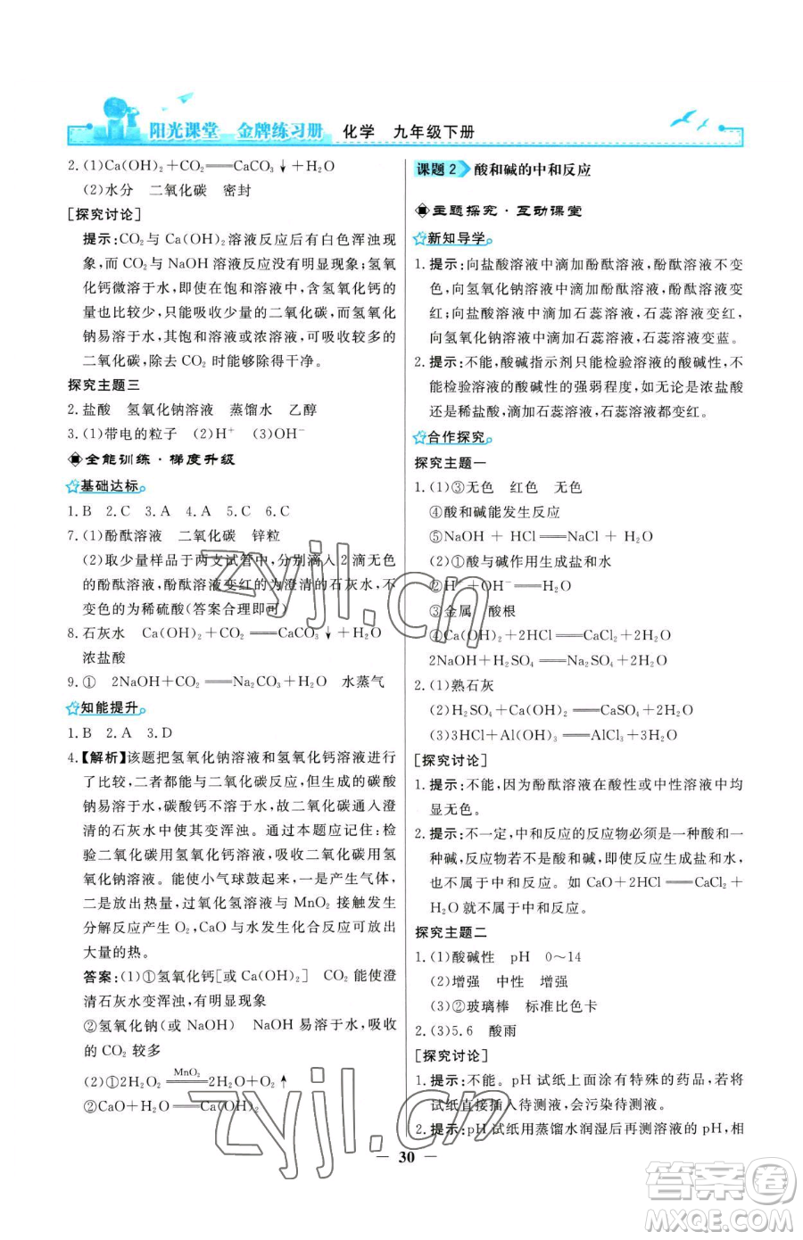 人民教育出版社2023陽光課堂金牌練習(xí)冊九年級下冊化學(xué)人教版參考答案