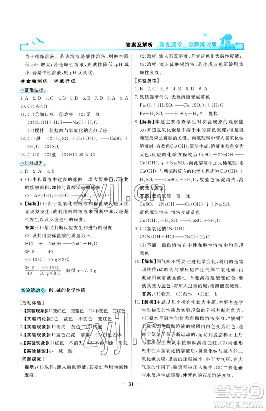 人民教育出版社2023陽光課堂金牌練習(xí)冊九年級下冊化學(xué)人教版參考答案