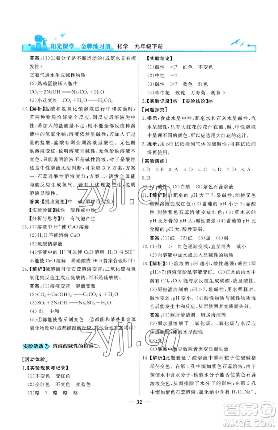 人民教育出版社2023陽光課堂金牌練習(xí)冊九年級下冊化學(xué)人教版參考答案