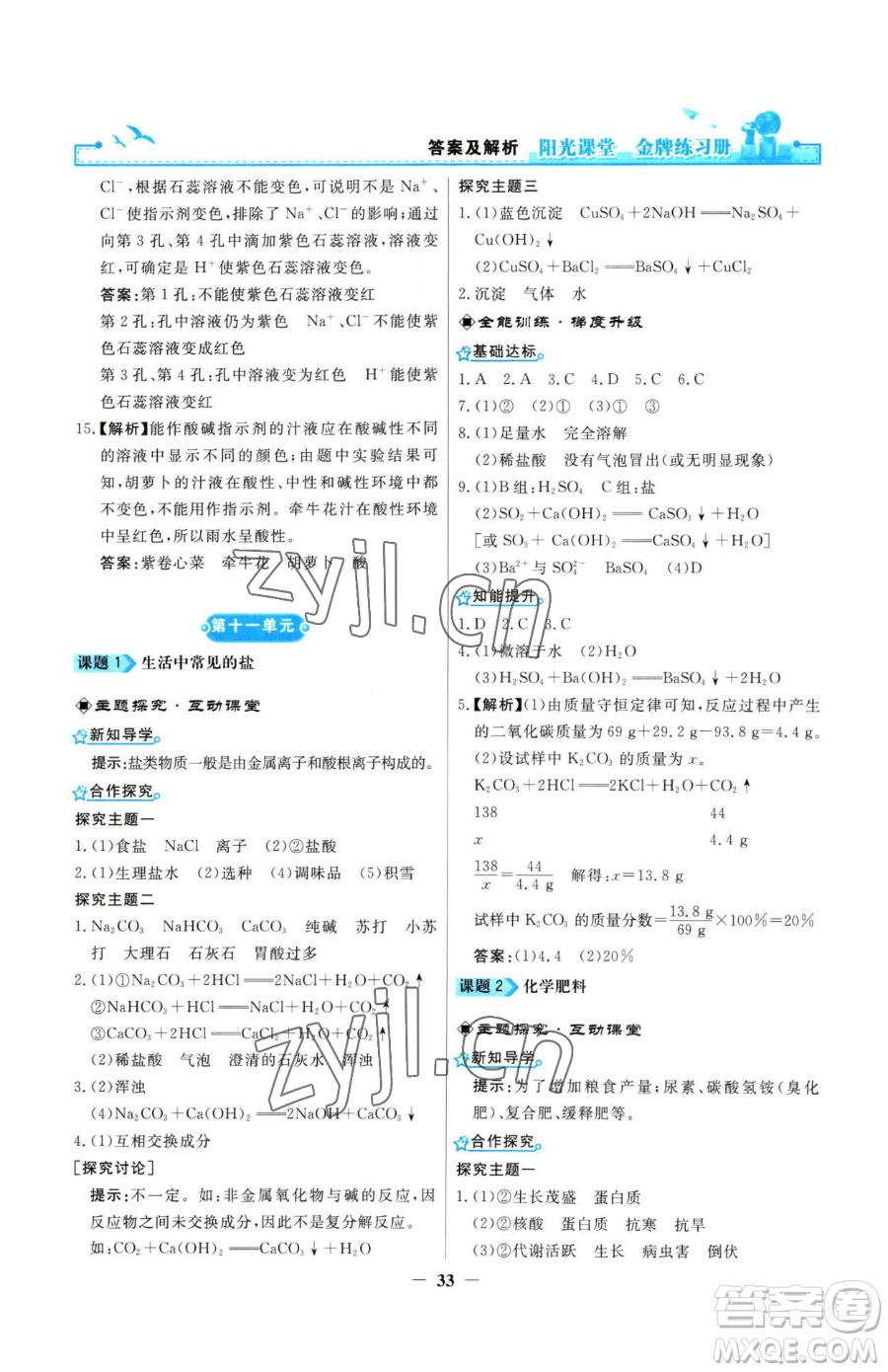 人民教育出版社2023陽光課堂金牌練習(xí)冊九年級下冊化學(xué)人教版參考答案