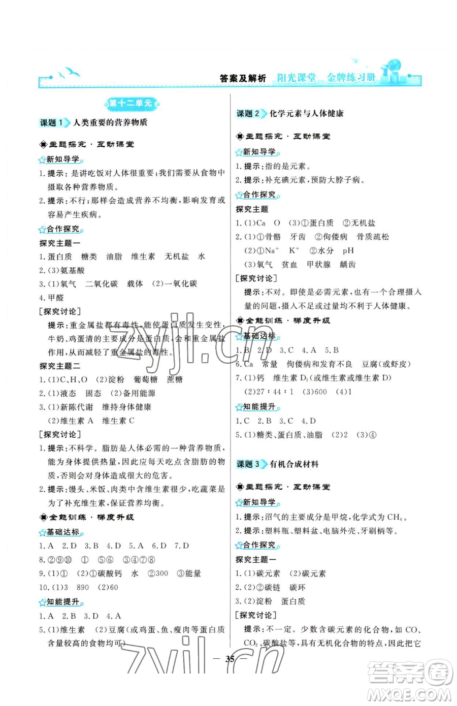 人民教育出版社2023陽光課堂金牌練習(xí)冊九年級下冊化學(xué)人教版參考答案