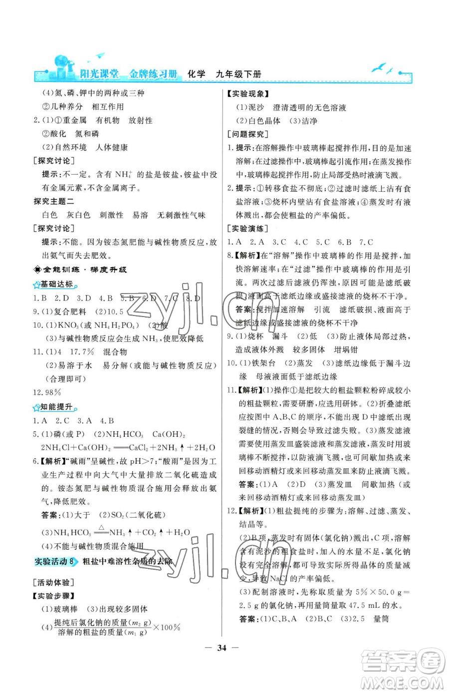 人民教育出版社2023陽光課堂金牌練習(xí)冊九年級下冊化學(xué)人教版參考答案