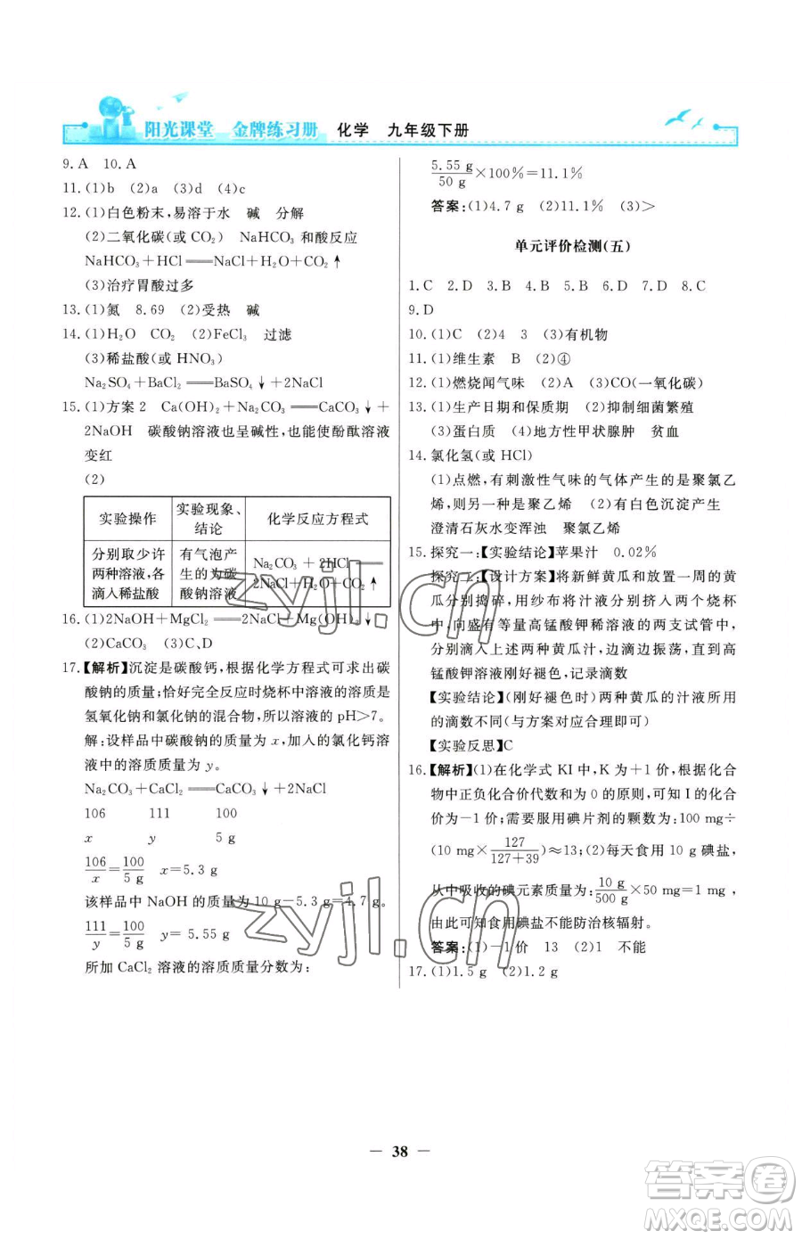 人民教育出版社2023陽光課堂金牌練習(xí)冊九年級下冊化學(xué)人教版參考答案