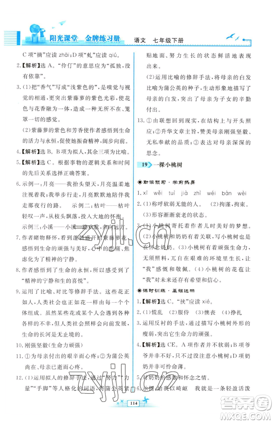 人民教育出版社2023陽光課堂金牌練習(xí)冊七年級下冊語文人教版福建專版參考答案