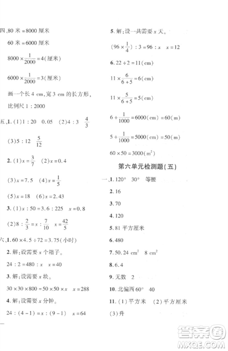 濟南出版社2023教育世家狀元卷六年級數(shù)學下冊人教版參考答案