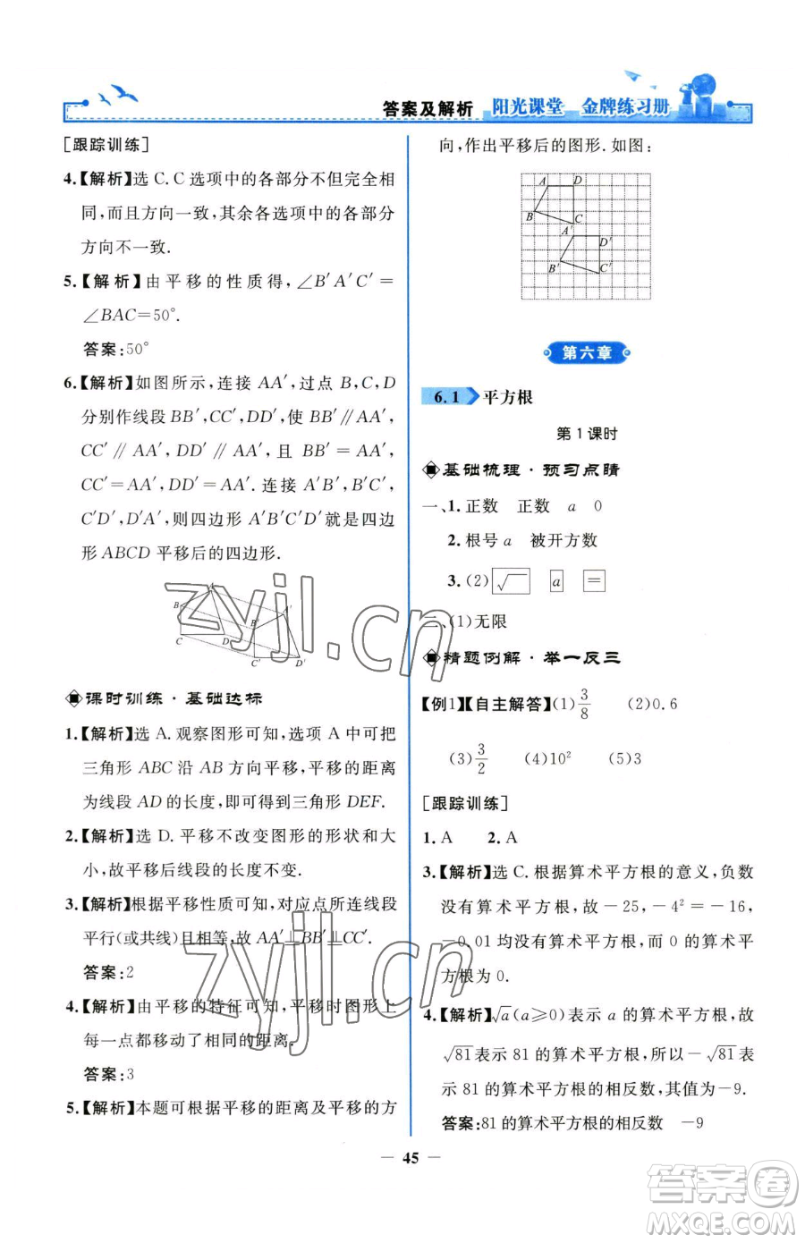 人民教育出版社2023陽光課堂金牌練習(xí)冊七年級下冊數(shù)學(xué)人教版參考答案