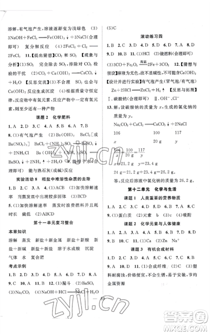 長江少年兒童出版社2023優(yōu)質(zhì)課堂導(dǎo)學(xué)案B課后作業(yè)九年級化學(xué)下冊人教版參考答案