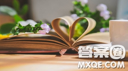 對抗爭的認識作文800字 關于對抗爭的認識的作文800字