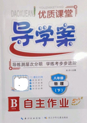 長江少年兒童出版社2023優(yōu)質(zhì)課堂導學案B自主作業(yè)八年級物理下冊人教版參考答案