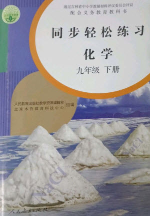 人民教育出版社2023同步輕松練習九年級化學下冊人教版參考答案