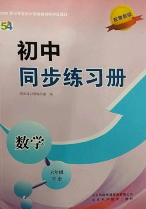 山東科學(xué)技術(shù)出版社2023初中同步練習(xí)冊六年級數(shù)學(xué)下冊魯教版五四制參考答案