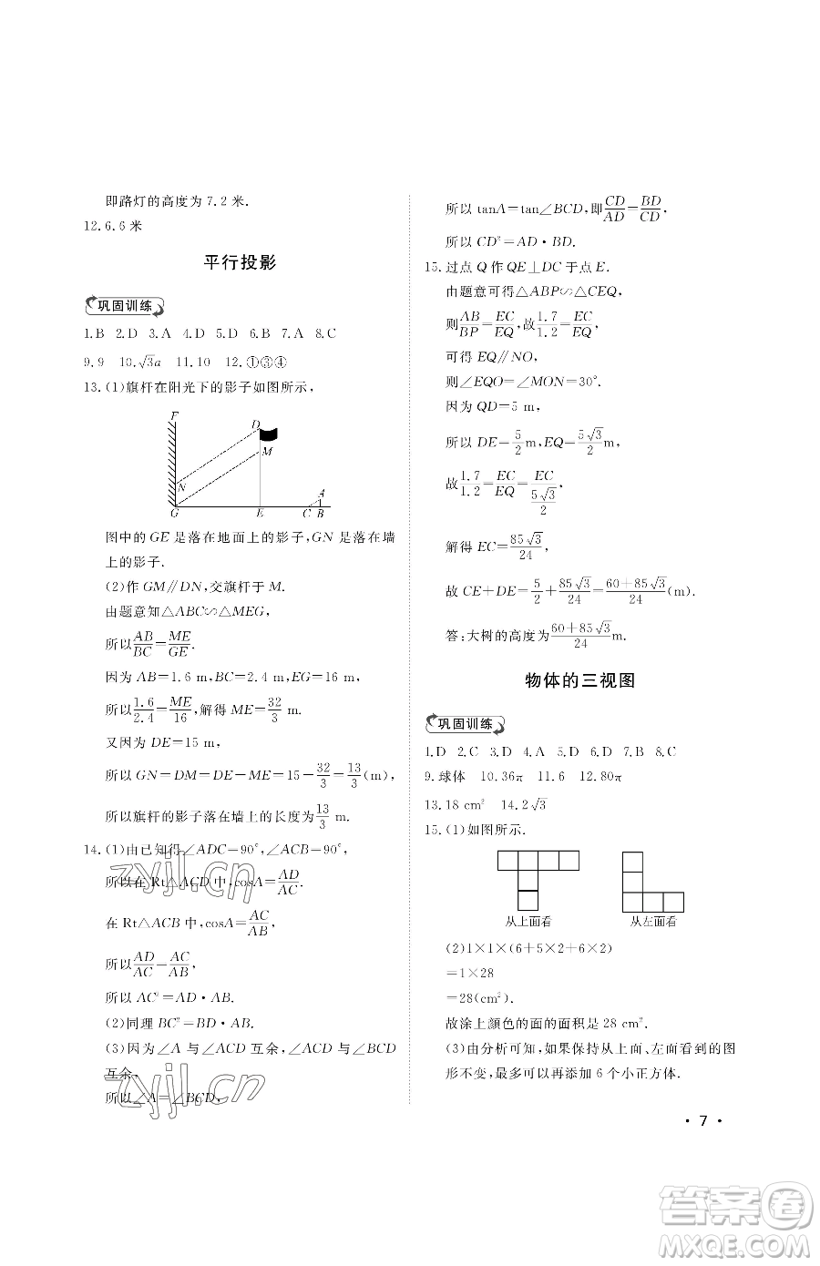 山東人民出版社2023初中卷行知天下九年級下冊數(shù)學(xué)青島版參考答案